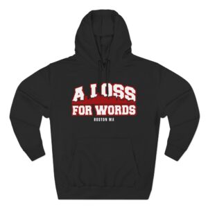A Loss For Words Boston MA Three-Panel Fleece Hoodie